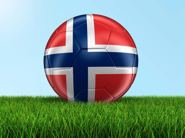 Soccer football with Norwegian flag on grass — Stock Photo, Image