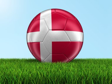 Futbol futbol çimenlerin üzerinde Danimarka bayrağı ile