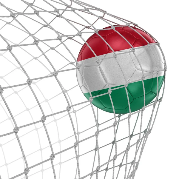 Hungarian soccerball in net — Stock Photo, Image