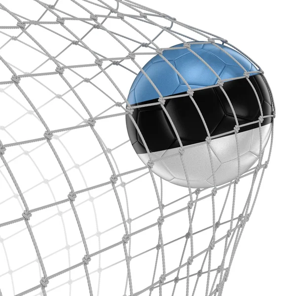 Estonian soccerball in net — Stock Photo, Image