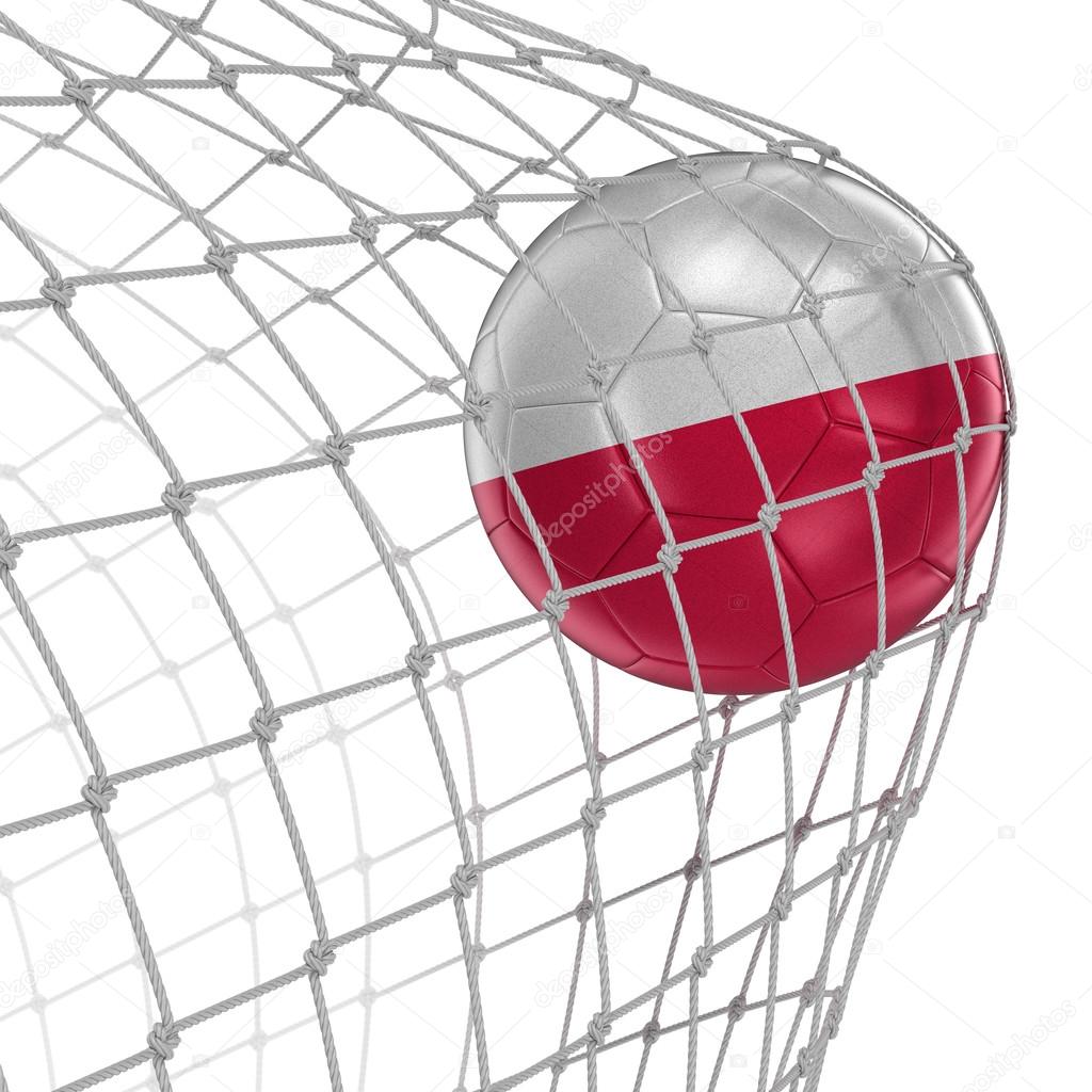 Polish soccerball in net