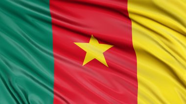 3D bayrak Cameroon kumaş yüzey dokusu ile