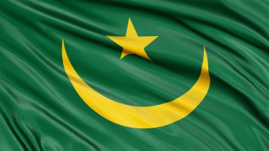 Fas 3D bayrak kumaş yüzey dokusu ile