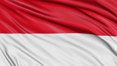 3D bayrak Monaco kumaş yüzey dokusu ile.