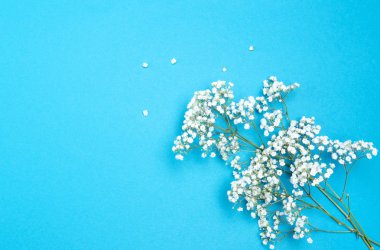 ahşap arka plan üzerinde güzel karanfil