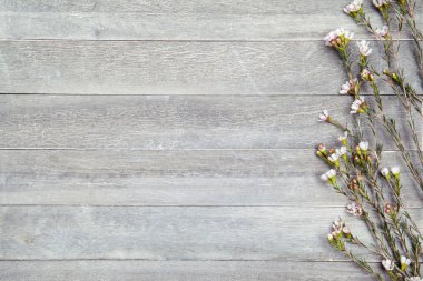 ahşap arka plan üzerinde güzel karanfil