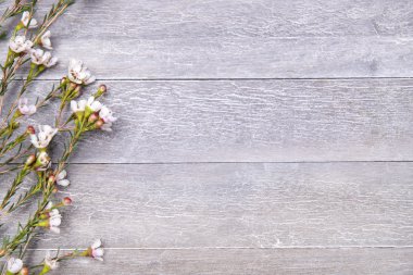 ahşap arka plan üzerinde güzel karanfil