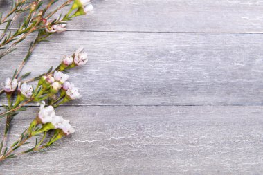 ahşap arka plan üzerinde güzel karanfil