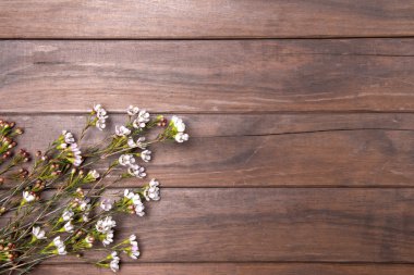 ahşap arka plan üzerinde güzel karanfil