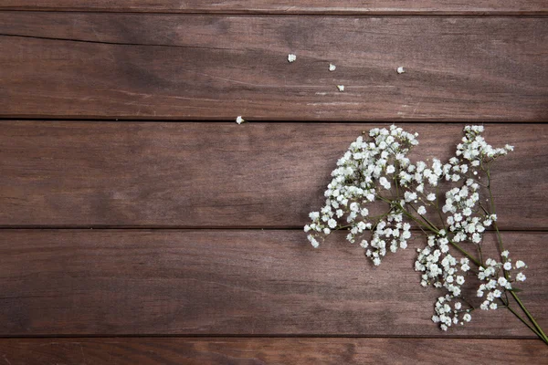 Aliento hermoso bebé sobre fondo de madera — Foto de Stock