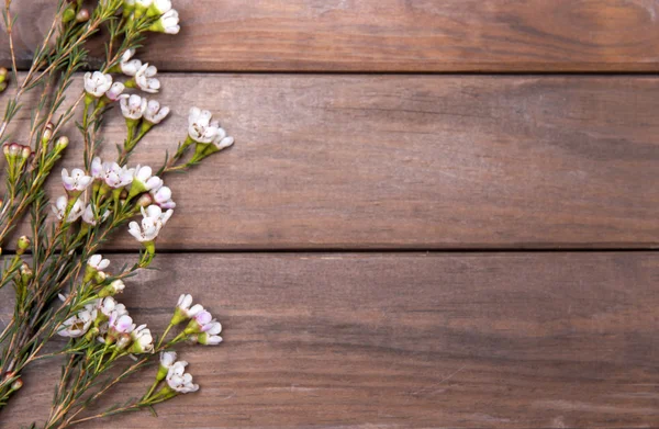 Aliento hermoso bebé sobre fondo de madera — Foto de Stock