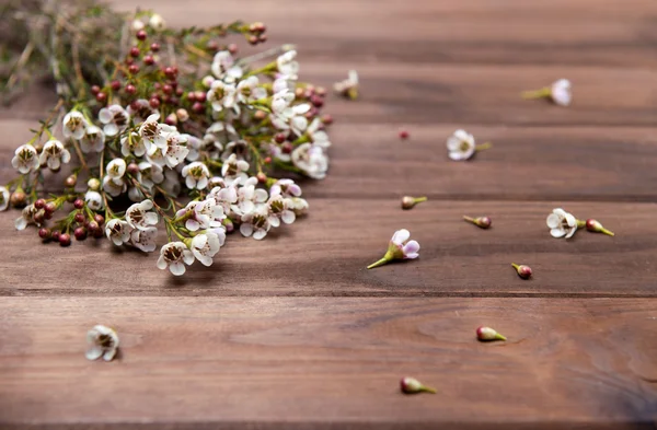 Aliento hermoso bebé sobre fondo de madera — Foto de Stock