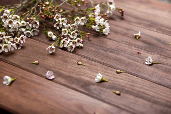 Aliento hermoso bebé sobre fondo de madera — Foto de Stock