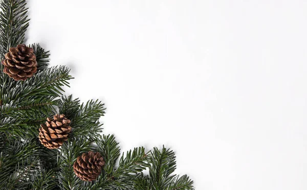 Festlicher Weihnachtlicher Hintergrund Mit Tannenzapfen — Stockfoto