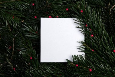 Çam iğnelerinin arka planında böğürtlenlerle çevrili bir kart