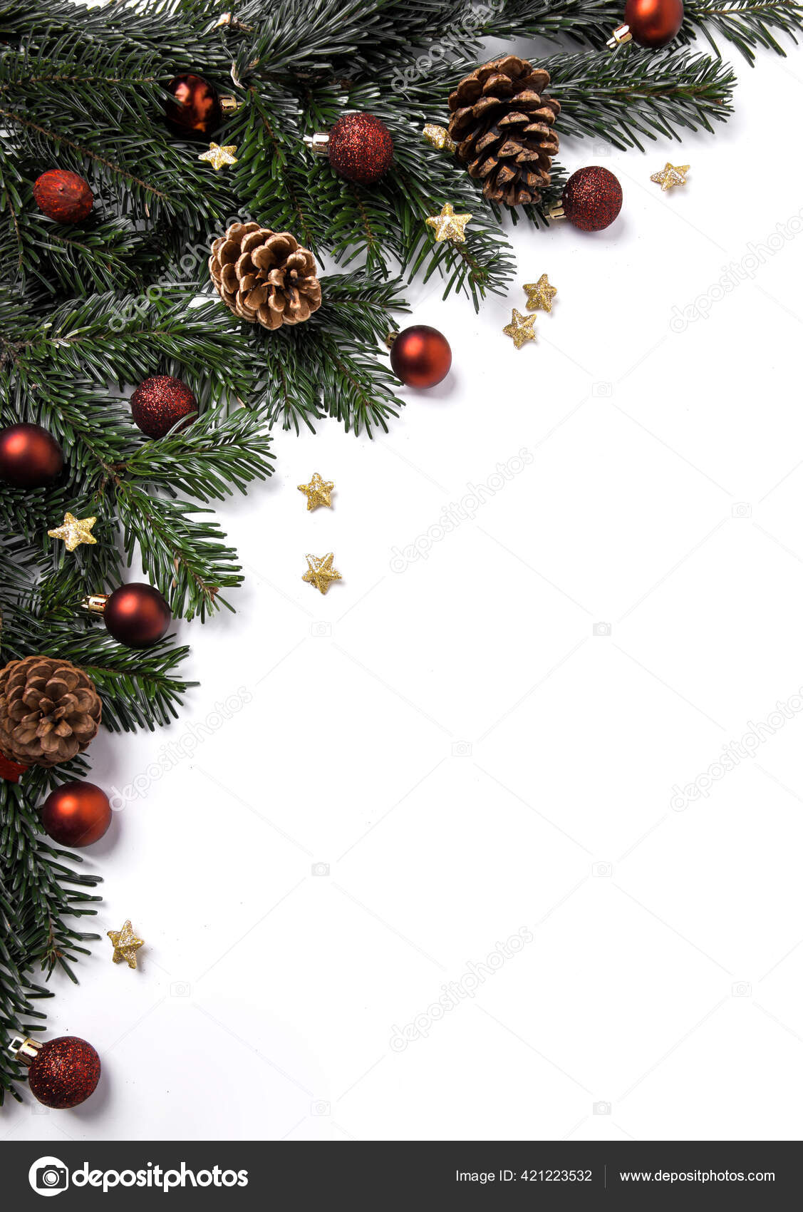 Pine branches, Stock image