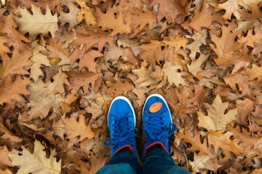 Düşen sonbahar yapraklarının üzerinde duran ayakkabılar 