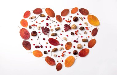 Autumn composition of a heart with dried leaves, berries and nuts on white background