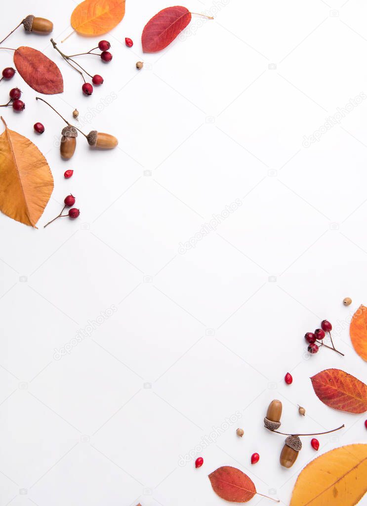 Autumn composition of dried leaves, berries and nuts on white background