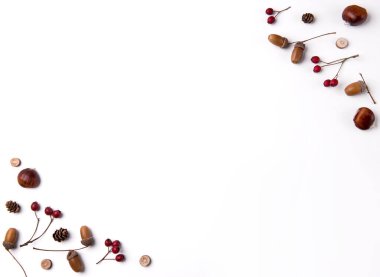 Autumn composition of dried leaves, berries and nuts on white background