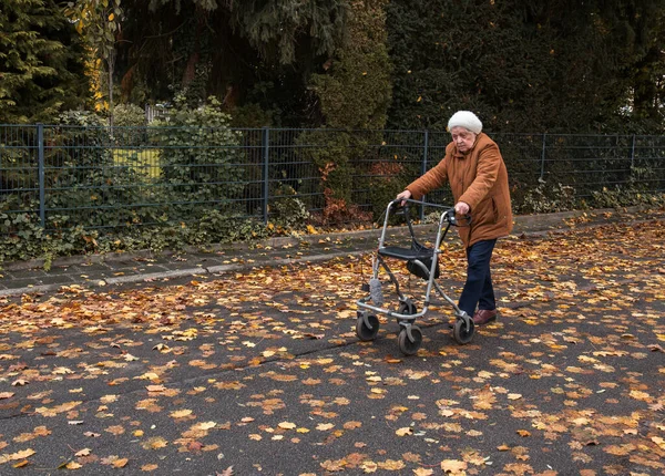 Idős Tesz Egy Sétát Ősszel Walker Segítségével Hogy Élvezze Friss — Stock Fotó