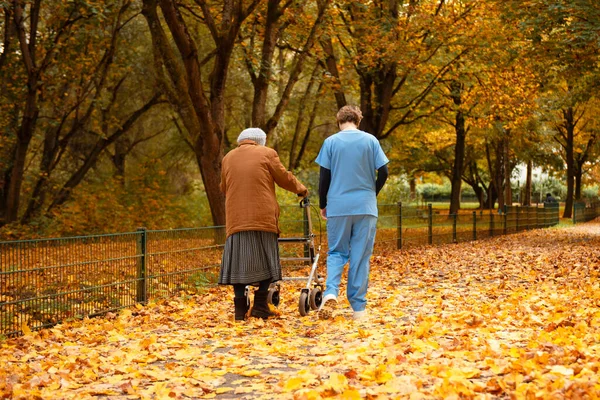Yürüyen yaşlı bir kadın, mavi üniformalı bir hemşire ya da bakıcının yardımıyla düşmüş yapraklarla parkta yürüyor.