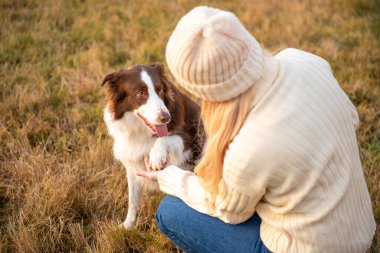 Kadın ve onun sevimli köpekleri ormanda yürüyüş yapıyor, oynuyor, egzersiz yapıyor ve eğleniyorlar.
