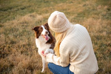 Kadın ve onun sevimli köpekleri ormanda yürüyüş yapıyor, oynuyor, egzersiz yapıyor ve eğleniyorlar.