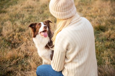 Kadın ve onun sevimli köpekleri ormanda yürüyüş yapıyor, oynuyor, egzersiz yapıyor ve eğleniyorlar.