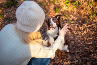 Kadın ve onun sevimli köpekleri ormanda yürüyüş yapıyor, oynuyor, egzersiz yapıyor ve eğleniyorlar.