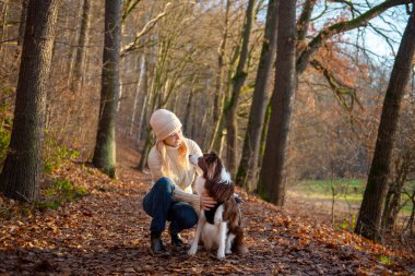 Kadın ve onun sevimli köpekleri ormanda yürüyüş yapıyor, oynuyor, egzersiz yapıyor ve eğleniyorlar.
