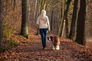 Kadın ve onun sevimli köpekleri ormanda yürüyüş yapıyor, oynuyor, egzersiz yapıyor ve eğleniyorlar.