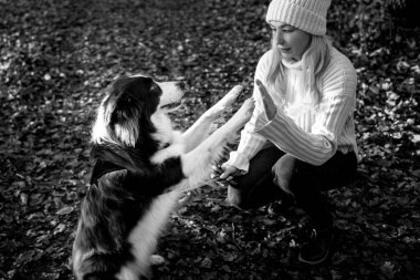 Kadın ve onun sevimli köpekleri ormanda yürüyüş yapıyor, oynuyor, egzersiz yapıyor ve eğleniyorlar.