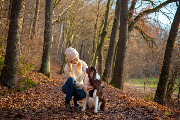 Kadın ve onun sevimli köpekleri ormanda yürüyüş yapıyor, oynuyor, egzersiz yapıyor ve eğleniyorlar.