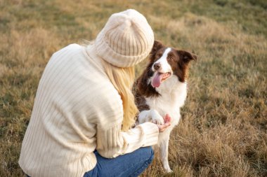 Kadın ve onun sevimli köpekleri ormanda yürüyüş yapıyor, oynuyor, egzersiz yapıyor ve eğleniyorlar.
