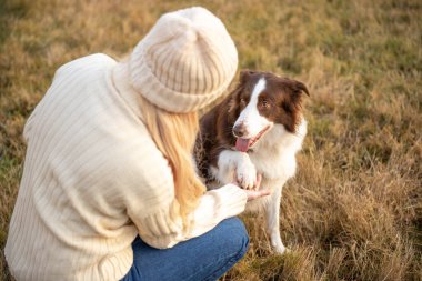 Kadın ve onun sevimli köpekleri ormanda yürüyüş yapıyor, oynuyor, egzersiz yapıyor ve eğleniyorlar.