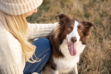 Kadın ve onun sevimli köpekleri ormanda yürüyüş yapıyor, oynuyor, egzersiz yapıyor ve eğleniyorlar.