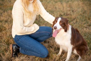 Kadın ve onun sevimli köpekleri ormanda yürüyüş yapıyor, oynuyor, egzersiz yapıyor ve eğleniyorlar.