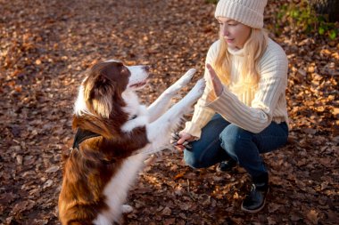 Kadın ve onun sevimli köpekleri ormanda yürüyüş yapıyor, oynuyor, egzersiz yapıyor ve eğleniyorlar.