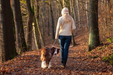 Kadın ve onun sevimli köpekleri ormanda yürüyüş yapıyor, oynuyor, egzersiz yapıyor ve eğleniyorlar.