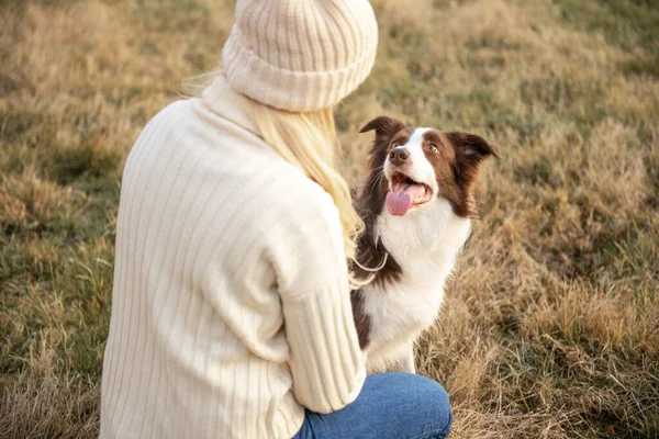 Kadın ve onun sevimli köpekleri ormanda yürüyüş yapıyor, oynuyor, egzersiz yapıyor ve eğleniyorlar.