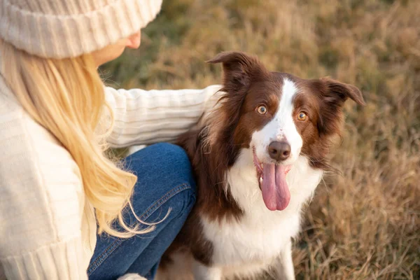 Kadın ve onun sevimli köpekleri ormanda yürüyüş yapıyor, oynuyor, egzersiz yapıyor ve eğleniyorlar.