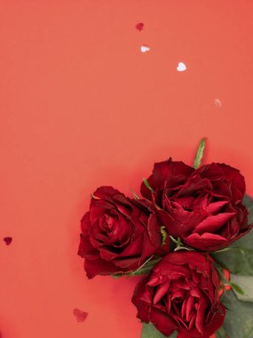 Sevgililer günü, doğum günü ya da yıldönümü kutlamaları için güzel ve şenlikli bir geçmiş. Kırmızı güller ve yazı için beyaz kalp şeklinde bir kart.