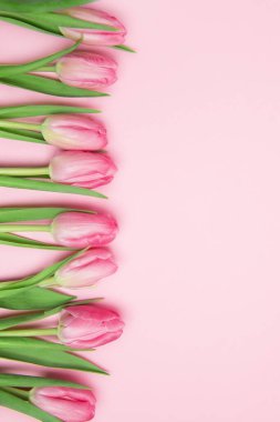 Sevgililer günü, doğum günü ya da yıldönümü kutlamaları için güzel ve şenlikli bir geçmiş. Kırmızı güller ve yazı için beyaz kalp şeklinde bir kart.