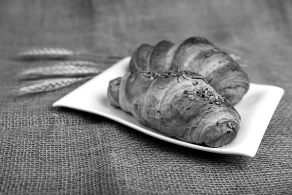 Lahodné čerstvé croissanty — Stock fotografie