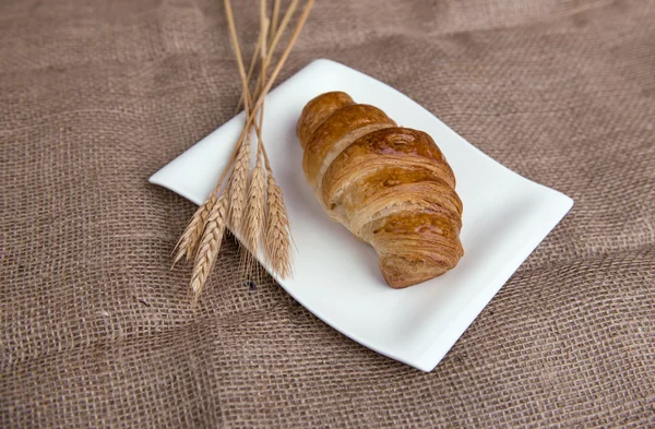 Frische leckere Croissants — Stockfoto