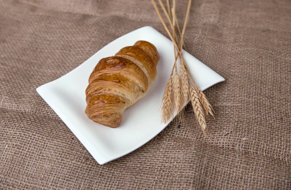 Croissants deliciosos frescos — Fotografia de Stock