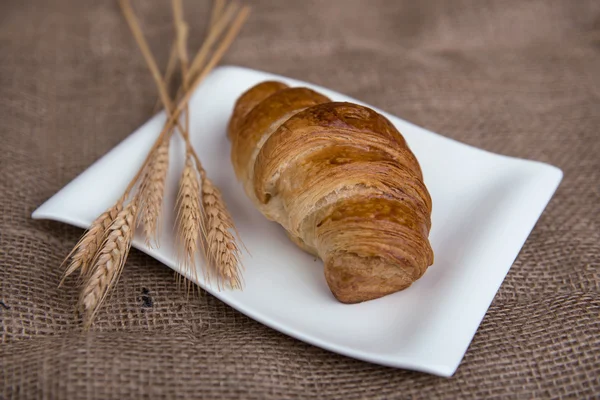 Fresh delicious croissants — Stock Photo, Image