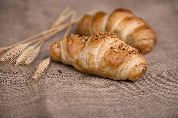 Croissants deliciosos frescos — Fotografia de Stock