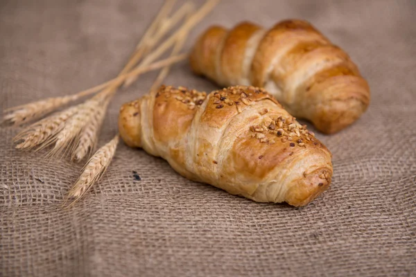 Croissant freschi deliziosi — Foto Stock